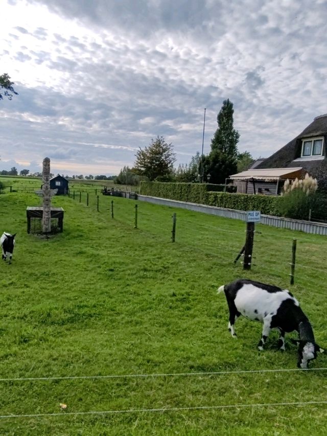 The Slow Life of Animals in Giethoorn