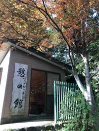 🚡高尾山一日遊：纜車體驗×登山散策×美食享受