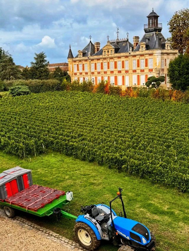 🌳 Jardin Public – Bordeaux’s Charming Green Retreat 🌸