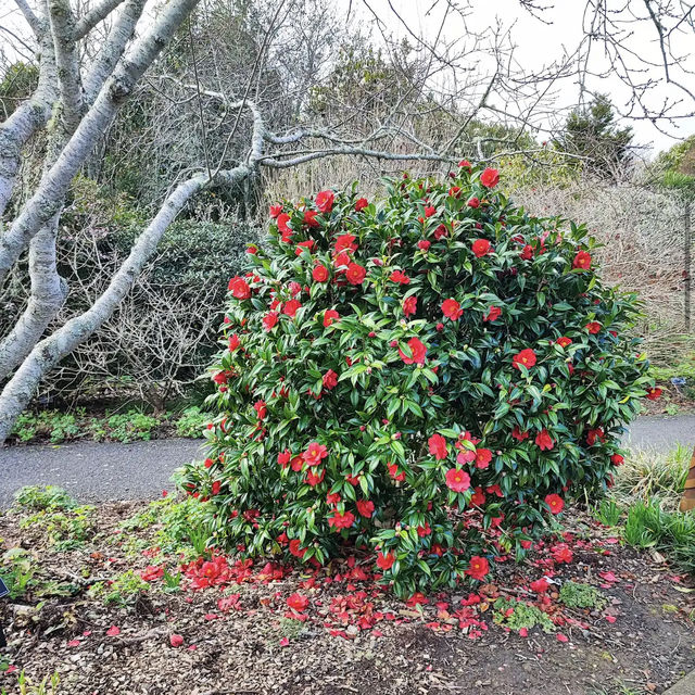 Auckland Botanic Gardens