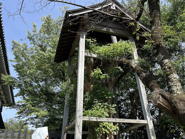 Inuyama Castle
