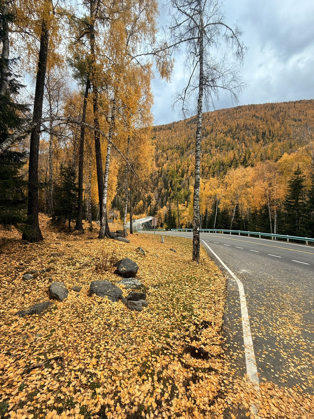 kanas scenic area
