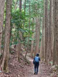 ✨熊野古道中邊路徒步之旅