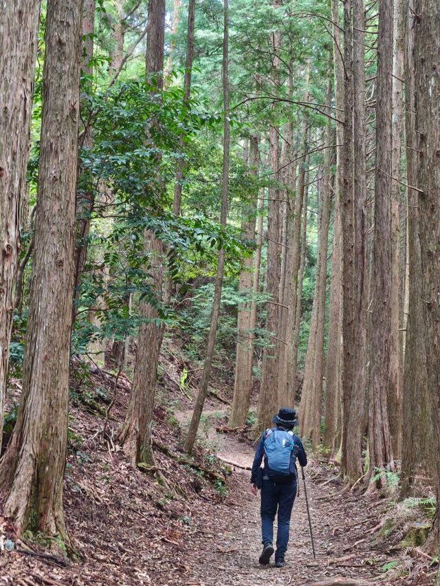 ✨熊野古道中邊路徒步之旅 ✨熊野古道中邊路徒步之旅