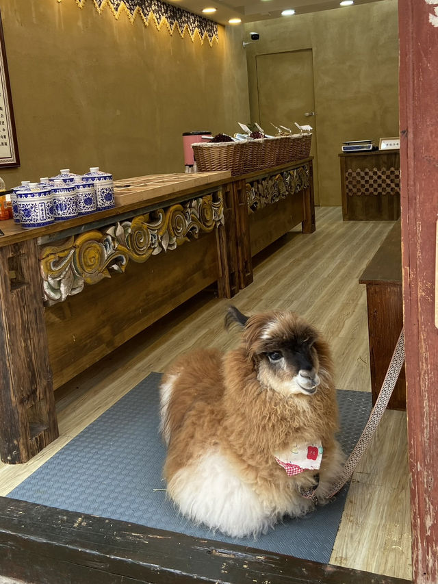 Lijiang Hidden Gem: Shuhe Ancient Town