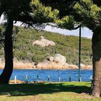 Emu Point Beach