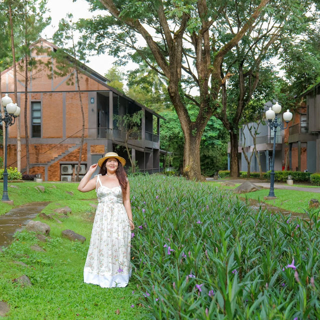🌳🌱Flora Creek Chiang Mai ที่พักกลางขุนเขา