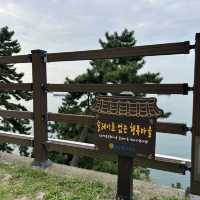 【🇰🇷：影島】山の上から見られる絶景🌊