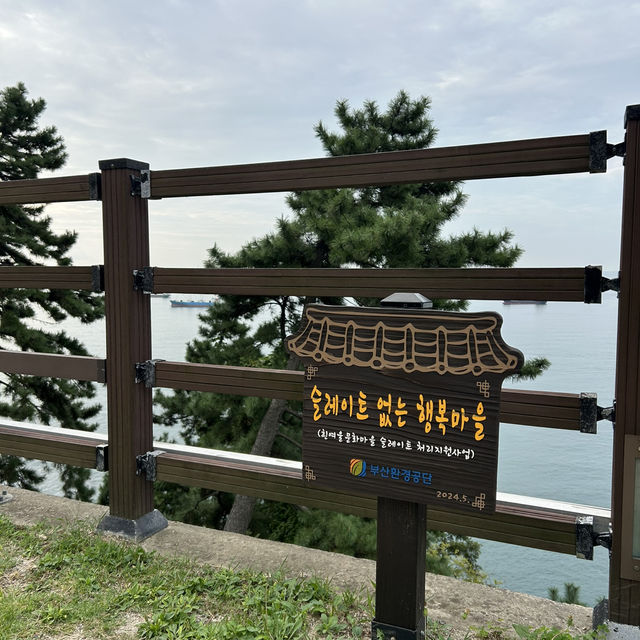 【🇰🇷：影島】山の上から見られる絶景🌊