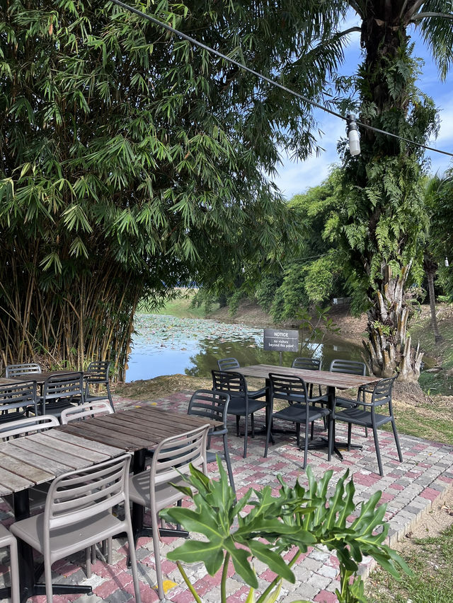 Lakeside Café: Scenic Views and Relaxed Vibes