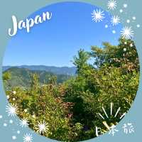 【和歌山】熊野古道🙏 中辺路を見守る「針地蔵尊」