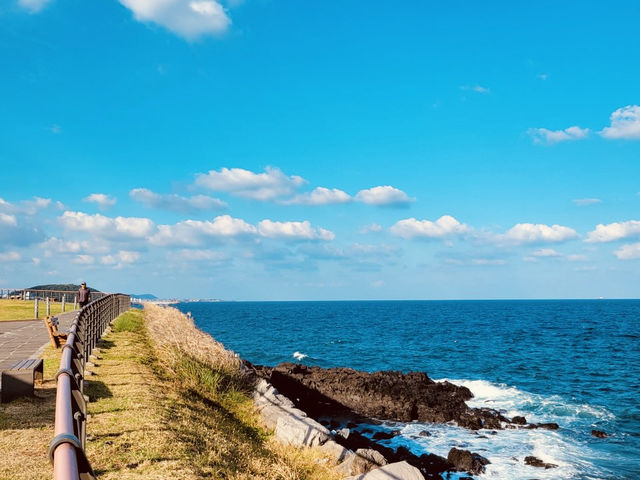 A Local’s Favorite for Exercise and Fresh Air