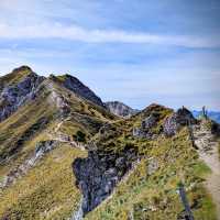 Conquering the Peaks and Views of Seefelder Spitze