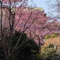 Hotel Chinzan-sō Tokyo Garden