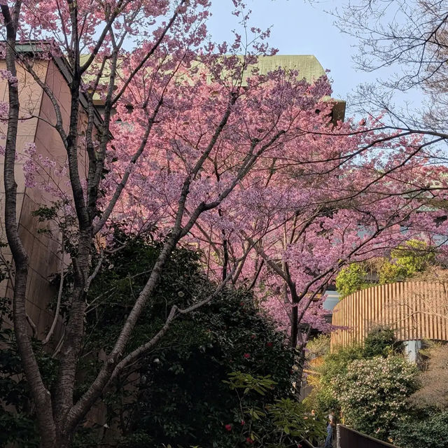 Hotel Chinzan-sō Tokyo Garden
