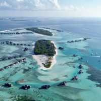 🏝️ Paradise found! Swaying palms, crystal waters, and endless sunsets — welcome to your dream escap