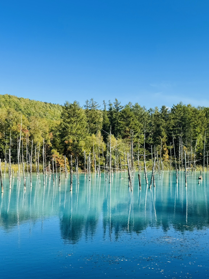 美瑛の丘から見た朝焼け | Trip.com 美瑛