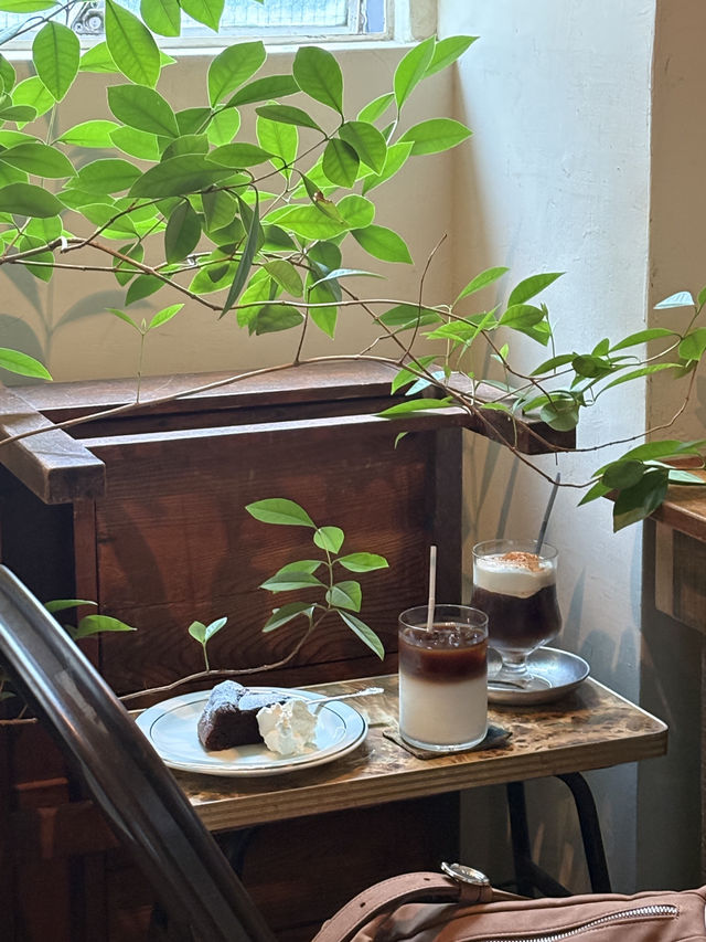 絶対行くべき光たっぷり入るヒーリングカフェ"グライナリーズコーヒー"☕️