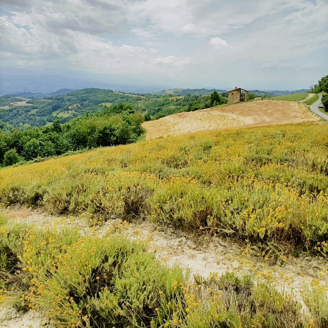 Solo in the Quiet Langhe: The Village of Sale San Giovanni