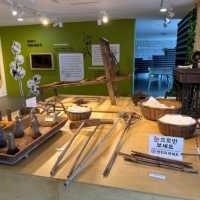 ๐ฟ ๊ณ ํ๋๋ชฉํ์ฒดํ์ฅ โ ๋ชฉํ์ ๋ฐ๋ค๊ฐ ํจ๊ปํ๋ ํ๋ง ์ฌํ