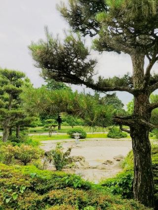 Европейский дзен солиста: возвращение в японский каменный сад Дюссельдорфа