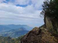 櫻花竹林秘境．石壁山壯麗之旅