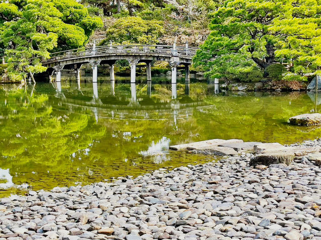 Your Solo Stroll Through Imperial Spring 