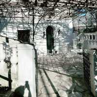 A Lemon-Scented Dream: Family Adventure at La Citronneraie