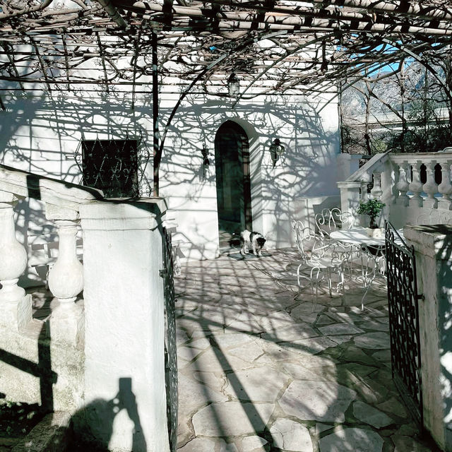 A Lemon-Scented Dream: Family Adventure at La Citronneraie