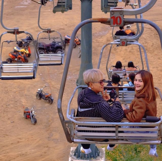 ขี่อูฐในทะเลทรายร้องเพลง