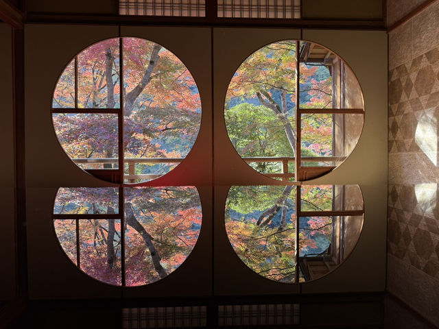 🍁 嵐山深處的秋日詩篇:夢幻祐斎亭遊記 🍁 嵐山深處的秋日詩篇:夢幻祐斎亭遊記