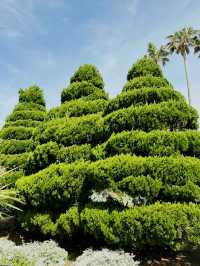 韓國🇰🇷翰林公園