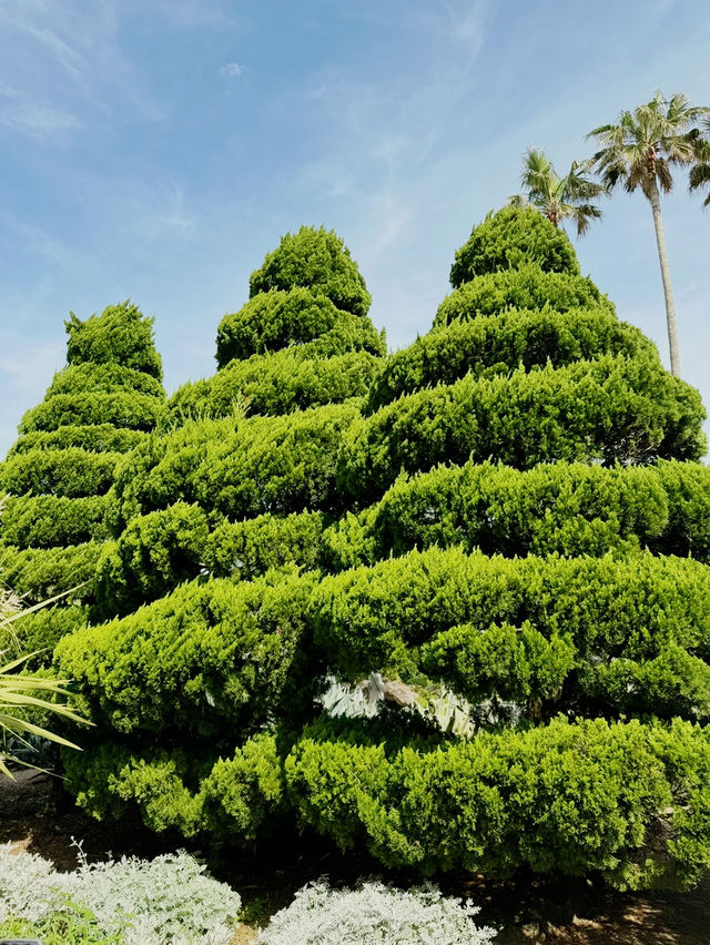 韓國🇰🇷翰林公園
