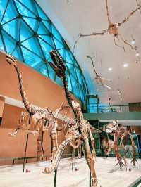 Shanghai Natural History Museum