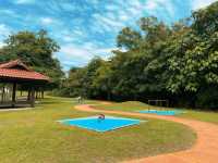 Wetlands Adventures for All Ages