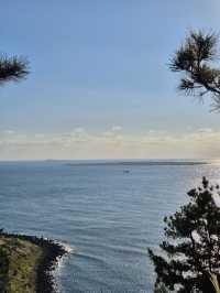 ☀️ 제주 송악산 둘레길, 한 바퀴로 만나는 서귀포 풍경 🌊