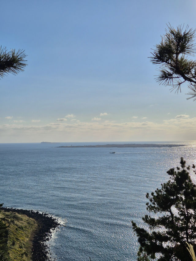 ☀️ 제주 송악산 둘레길, 한 바퀴로 만나는 서귀포 풍경 🌊