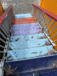 台版威尼斯｜正濱漁港彩色街屋