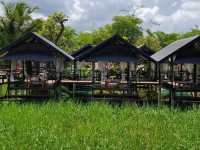 คาเฟ่บรรยากาศท้องทุ่ง @ ภูเขียว