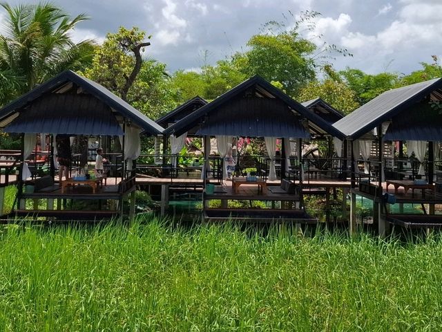 คาเฟ่บรรยากาศท้องทุ่ง @ ภูเขียว