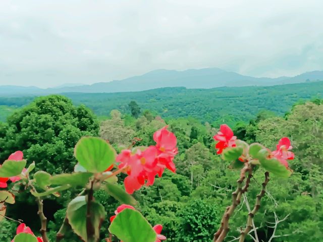 A Visit to Teck Guan Cocoa Village A Visit to Teck Guan Cocoa Village