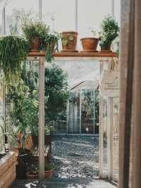 丹麥旅行 -  Noma 回來了 玻璃屋中的北歐味覺實驗室