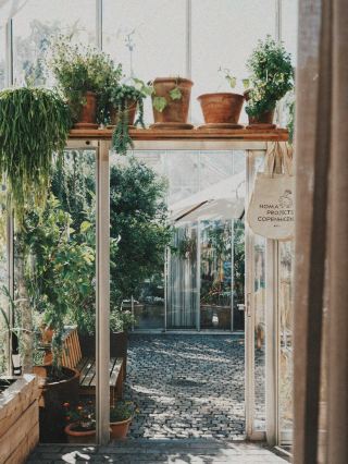 Denmark Trip - Noma is Back: A Nordic Flavor Lab in a Glass House