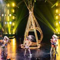 Phuket Circus (The Adrenaline Rush)