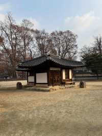 Courtyard Dreams🌞