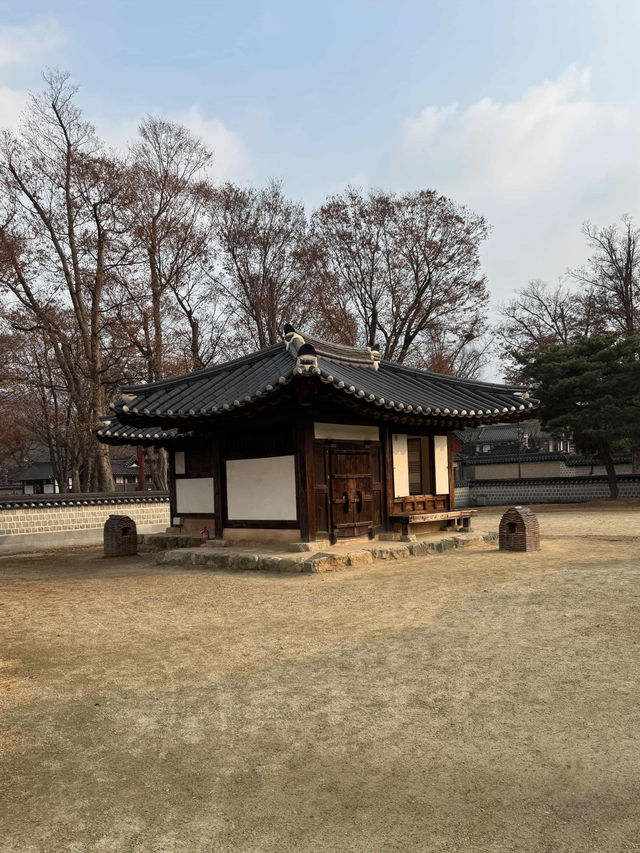 Courtyard Dreams🌞 Courtyard Dreams🌞