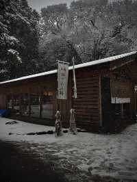 用雙眼、雙腳走進北海道的雪白世界裡