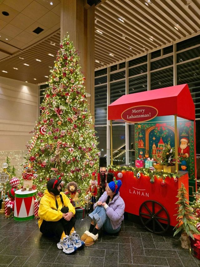 ๊ฒฝ์ฃผ์์ ๊ฐ์ฅ ์์ ํฌ๋ฆฌ์ค๋ง์ค ํธ๋ฆฌ๊ฐ ์๋๊ณณ๐ ๊ฒฝ์ฃผ์์ ๊ฐ์ฅ ์์ ํฌ๋ฆฌ์ค๋ง์ค ํธ๋ฆฌ๊ฐ ์๋๊ณณ๐