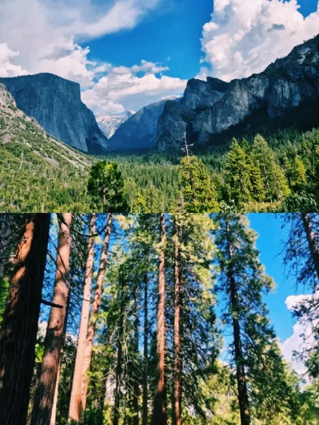 Yosemite Tips & Guide — Essential Information for First-Time Visitors