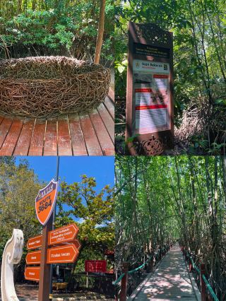 像當地人一樣體驗斯蒂烏濕地的完整指南